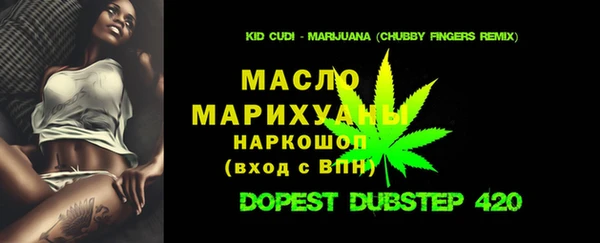 шишки Снежногорск