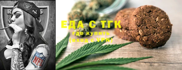 шишки Снежногорск